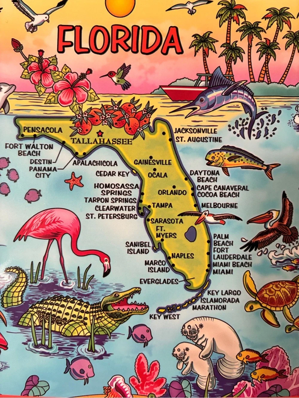Set of 3 State of Florida High Quality Gift Bags with Tags NEW Florida Gators